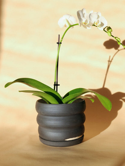 Tombolo Planter