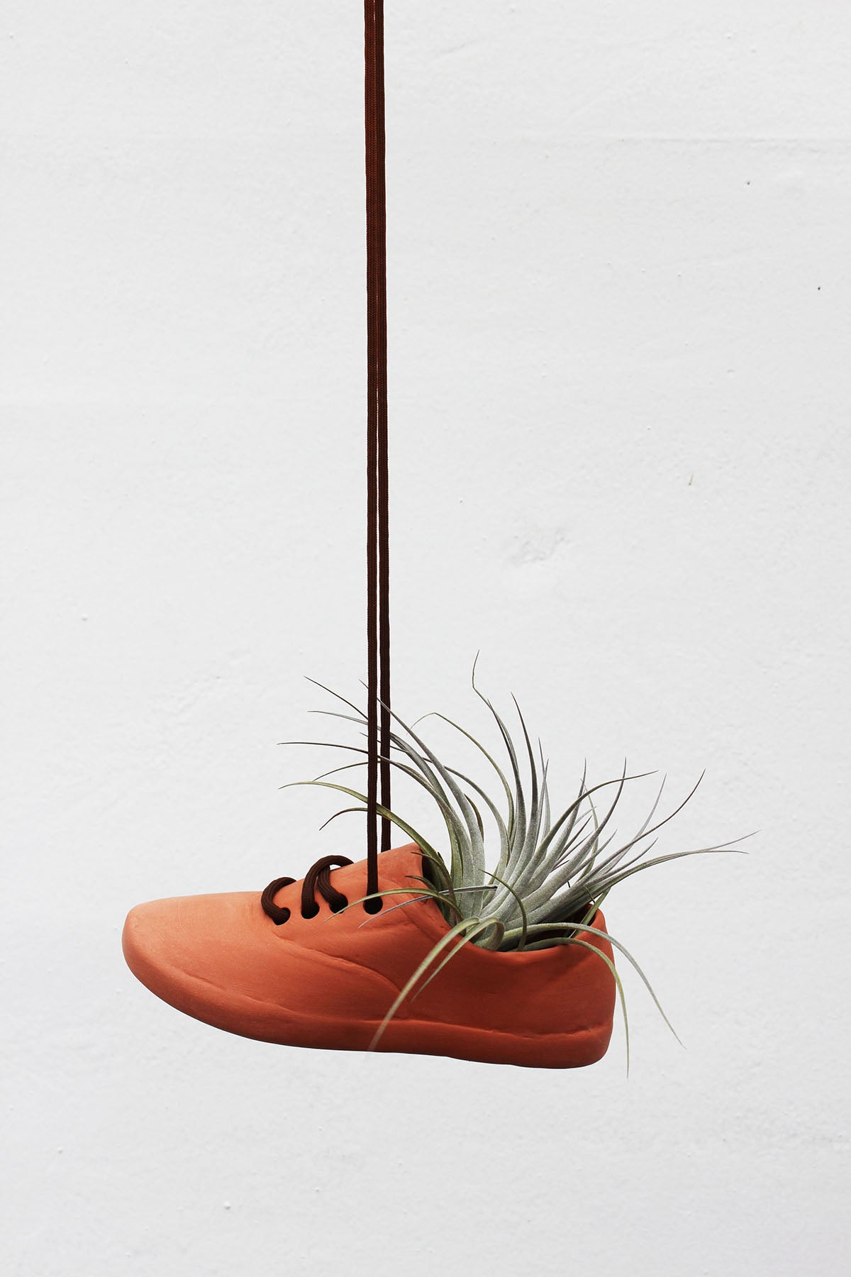 Hanging Shoe Planter