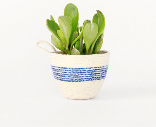 Mini Rope Planter