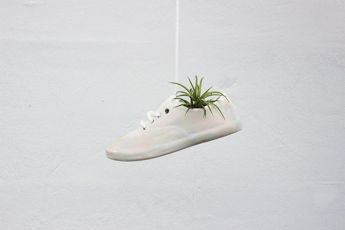 Hanging Shoe Planter