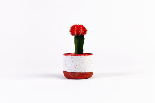 Cande Mini Planter